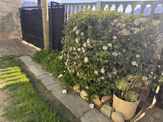 2 Bedroom Property for Sale in Bella Vista Western Cape